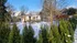 Ein Wintergarten im Schnee mit Tannenbäumen im Vordergrund und blauer Himmel.